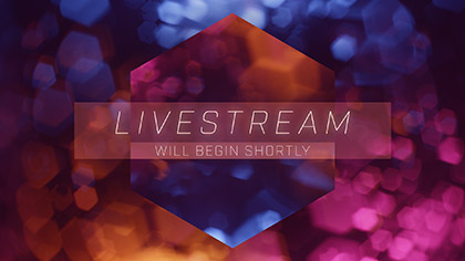 Bokeh Shapes Livestream