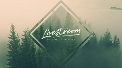 Misty Pines Livestream