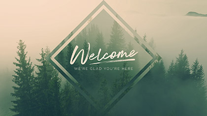 Misty Pines Welcome