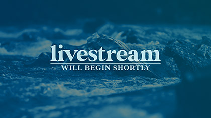 River Rocks Livestream