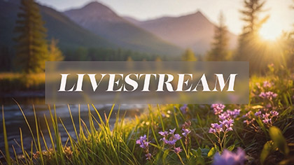 Spring Creek Livestream