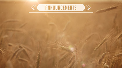 Summer Wheat Announcements