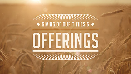 Summer Wheat Tithes Offerings