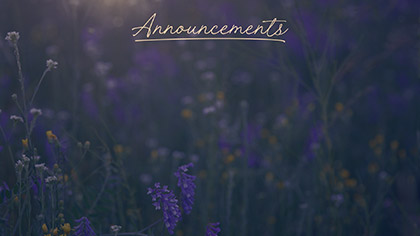 Summer Wildflowers Announcements