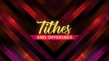 Vivid Fibers Tithes Offerings