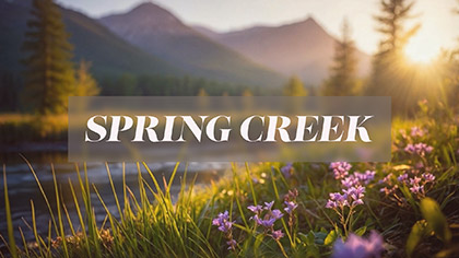 Spring Creek Collection
