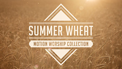 Summer Wheat Collection
