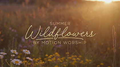 Summer Wildflowers Collection