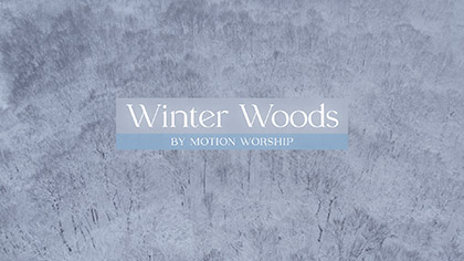 Winter Woods Collection