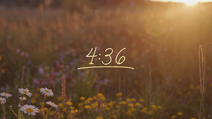 Summer Wildflowers Countdown