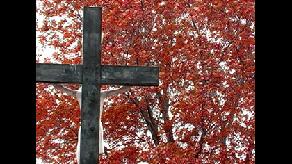 Fall Cross