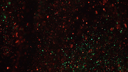 Christmas Glitter Dark Swirl