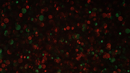 Christmas Glitter Slow Lights