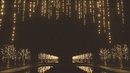 Christmas Gold Light Strings