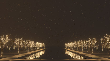 Christmas Gold Reflecting Pool