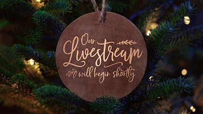 Christmas Pines Livestream
