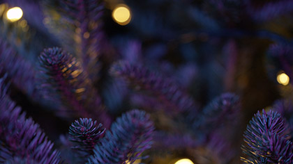 Christmas Pines Purple Teal Close