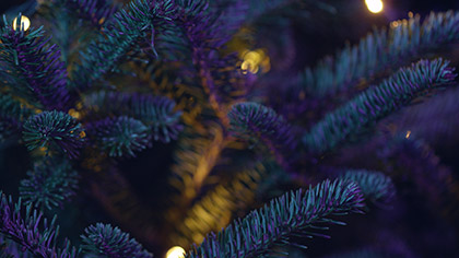 Christmas Pines Purple Teal