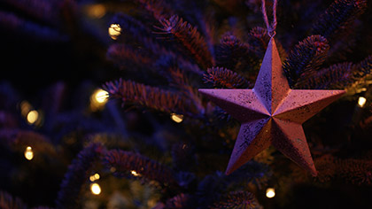 Christmas Pines Star Ornament