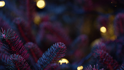 Christmas Pines Teal Pink Close