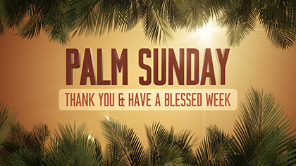 Sky View Palm Sunday Thanks