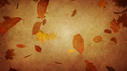 Vintage Thanksgiving Falling Leaves