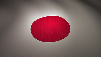 Japan Flag Waving