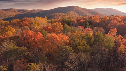 Epic Autumn Aerial Longplay