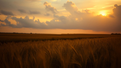 Pastoral Longplay