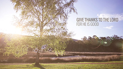 Thanksgiving Tree Worship Intro