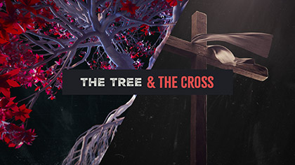 The Tree And The Cross