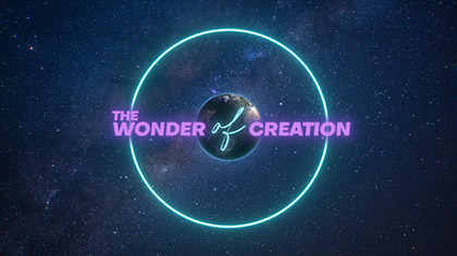 The Wonder Of Creation