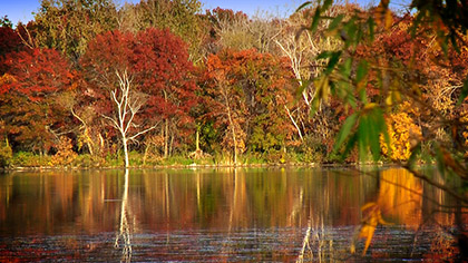 Autumn Lake