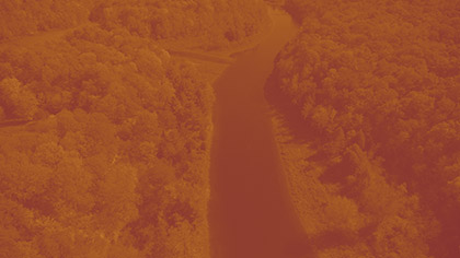 Autumn River Orange