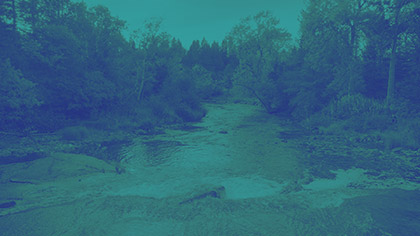 Autumn River Teal