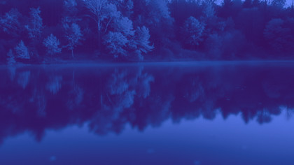 Autumnal Blue Purple