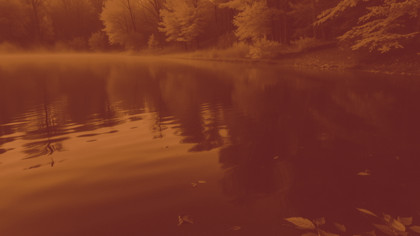 Autumnal Warm