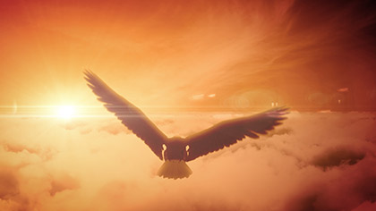 Bald Eagle Soaring Clouds