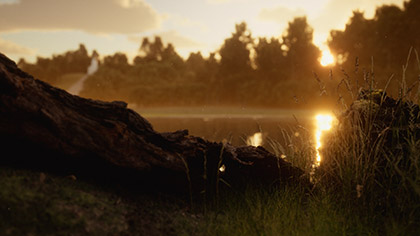 Countryside Lake