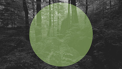 Deep Forest Green Circle