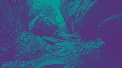 Deep Forest Teal Purple
