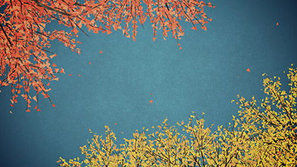 Digital Autumn Blue Skies