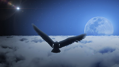 Eagle Soaring Clouds Night