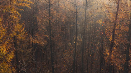 Epic Autumn Aerial Fog Sunset