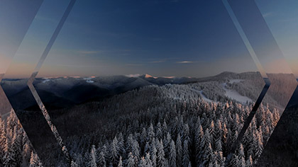 Epic Winter Aerial Snowy Trees