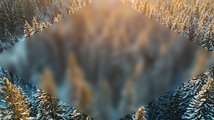 Epic Winter Aerial Trees Blur