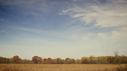 Fall Colors Blue Sky