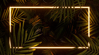 Glowscape Palm Branches