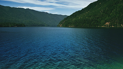 Mountain Pines Vibrant Lake