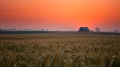 Pastoral Barn